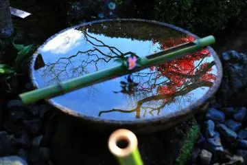A sui-kinkutsu (water koto cave) is a Japanese garden ornament. Its refreshing cool sound invites you into a magical world.