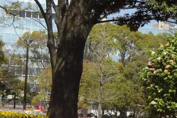 What a nice little park it is--and right in the middle of the city!