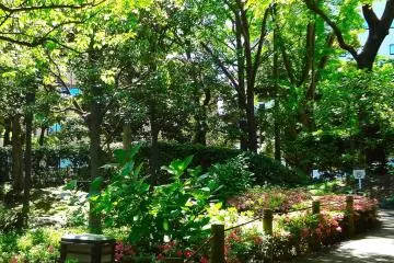 Enjoy a stroll through the park on a sunny day.