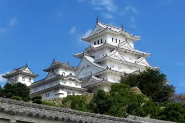 <p>새로 복구된 지붕은 마치 예술작품 같다.</p>