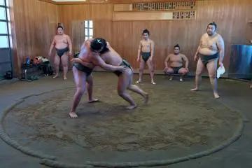 Tatsunamibeya &ndash; Tatsunami&nbsp;Sumo Stable