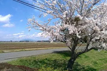 View of Mount Tsukuba in the background