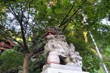 Gallery image