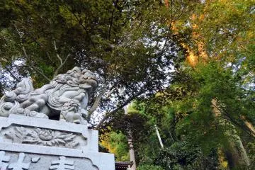 감시 중인 또 다른 수호견