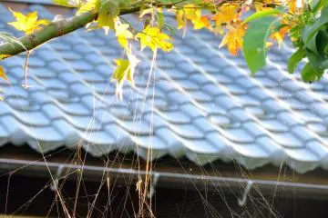 <p>Spider web sparkling under the setting sun</p>
