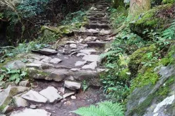 <p>The path to the waterfall has one small incline, near the trailhead</p>