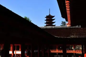 <p>Symmetrical corridors on the wings of the main hall</p>