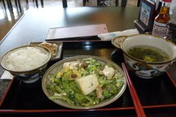 Goya Chanpuru in the information center restaurant. Tasty.