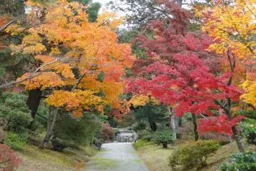 A quiet path in the villa's garden