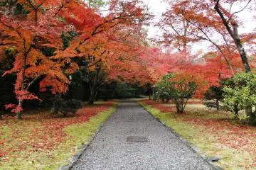 You can enjoy the foliage with hardly a soul in sight
