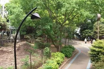 Snaking round the park
