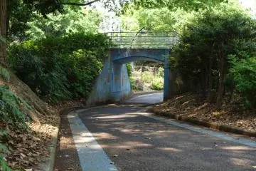 A small chicane under the bridge