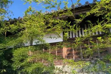 <p>สวนญี่ปุ่น</p>