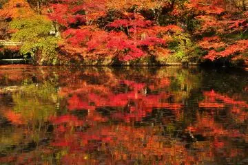 <p>Stunning colors decorate the water surface</p>