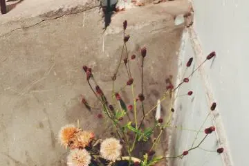 <p>Little details from the stairs</p>