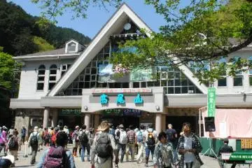 Gallery image