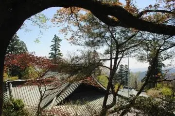 Takao-san Yakuo-in Yuki-ji