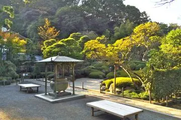 <p>A view of the dry garden</p>