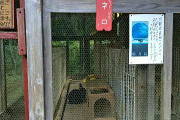 <p>A close-up of the rabbit enclosure and a copy of the brochure</p>