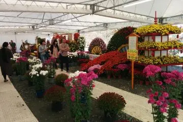 วิวของโซนสวน