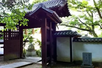 Greenery and architecture