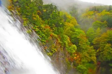 <p>Pemandangan di sebelah kanan &nbsp;</p>