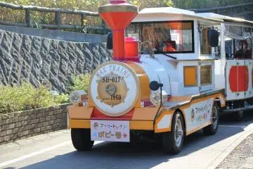 <p>Take the "Flower Train" from the Main Entrance for just 210yen one way (100yen for children)</p>