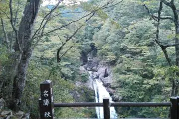 Sehari di Sendai