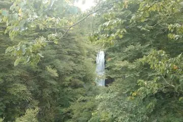 <p>Air terjun Akiu dibalik rimbunya pepohonan</p>