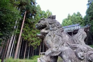 <p>A guardian dog standing alone at the foot of the mountain</p>