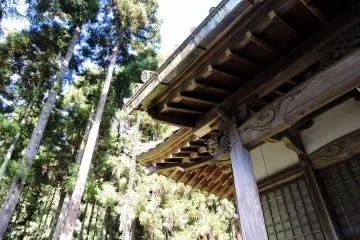 <p>The prayer hall with forest in the background</p>