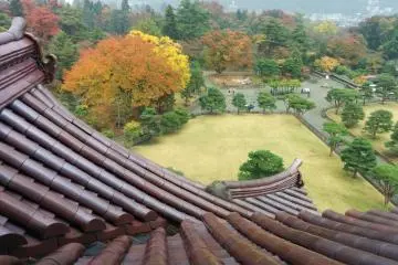 <p>ต้นไม้และหลังคาปราสาทที่ปูด้วยกระเบื้องสีแดงเพียงแห่งเดียวในประเทศญี่ปุ่น</p>