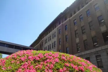 Well trimmed azaleas keep King looking sharp.