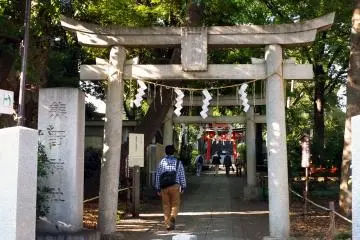 <p>A temple hidden in a luscious garden</p>