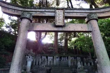 Gallery image