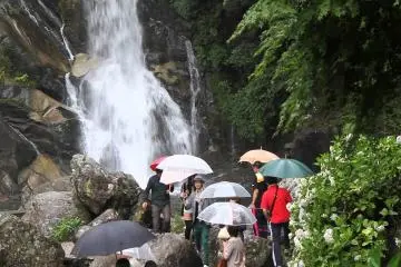 เทศกาลไฮเดรนเยียที่น้ำตก Mikaeri