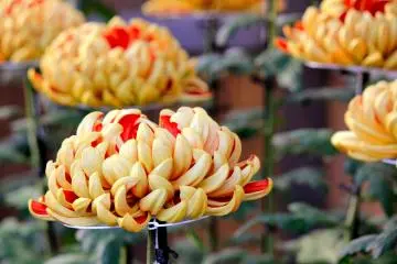 So delicate and vibrant!