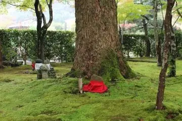 <p>Underneath a palm tree sits a lone jizo statue</p>