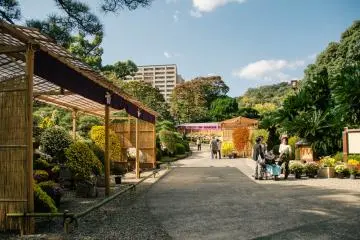 <p>An array of beautiful flowers displayed on the path</p>