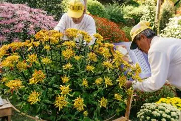 <p>Plants are well taken care of</p>