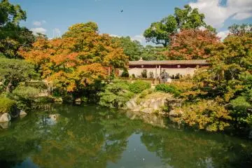 <p>Leaves are starting to change into autumn colors</p>