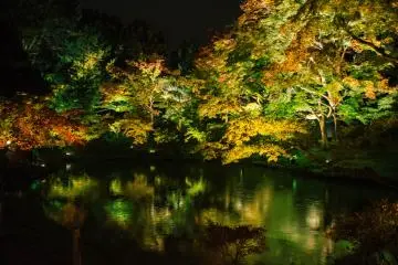 Kodai-ji Autumn Illumination 2026