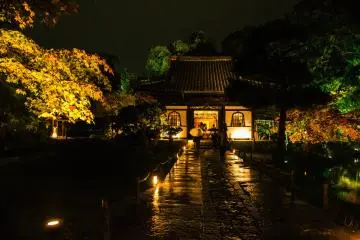 <p>고다이지 절</p>