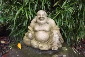 <p>And this feller is happy on his rock</p>