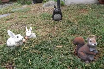 <p>Some of them are just plain cute</p>