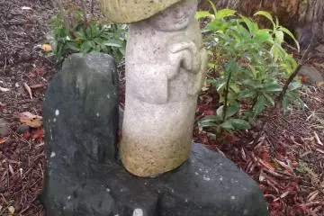 <p>Don't mistake me for a mushroom!</p>