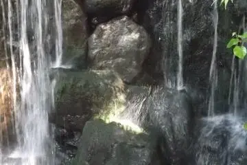 <p>The waterfall in the trees at the rear of the garden</p>