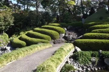 <p>The miniature Mount Fuji and its tea bushes</p>
