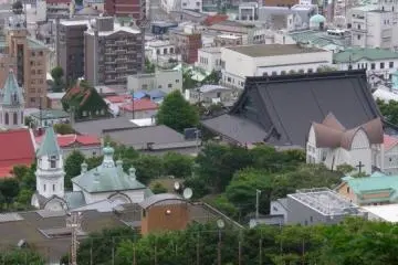 산에서 본 경