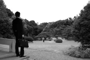 An office worker enjoying the view